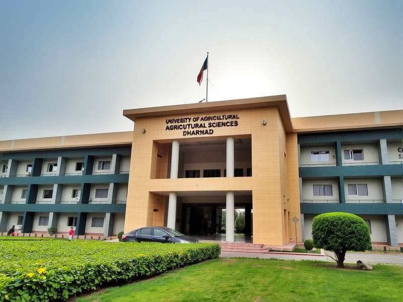 Students participating in cultural fest